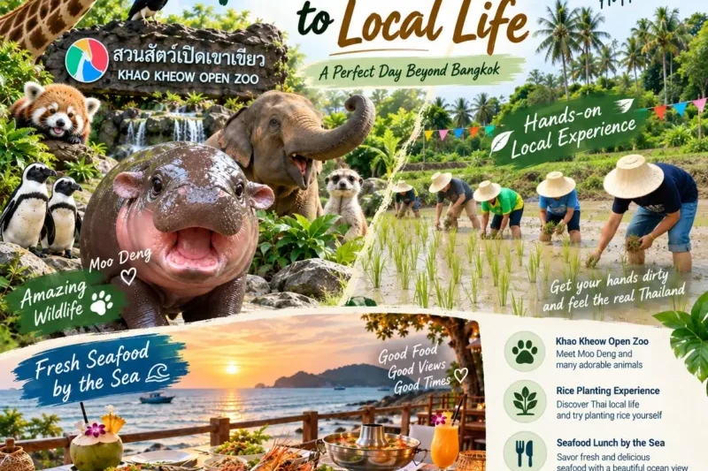 สวนสัตว์ หน้าปก 1
