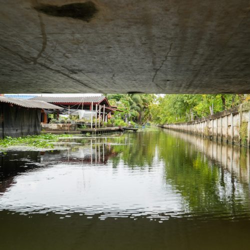 PIC01305